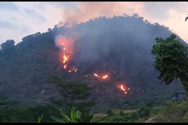 Kebakaran di Puncak Habibi Sukabumi Padam, Angin Kencang dan Alang-alang Bikin Api Cepat Meluas 