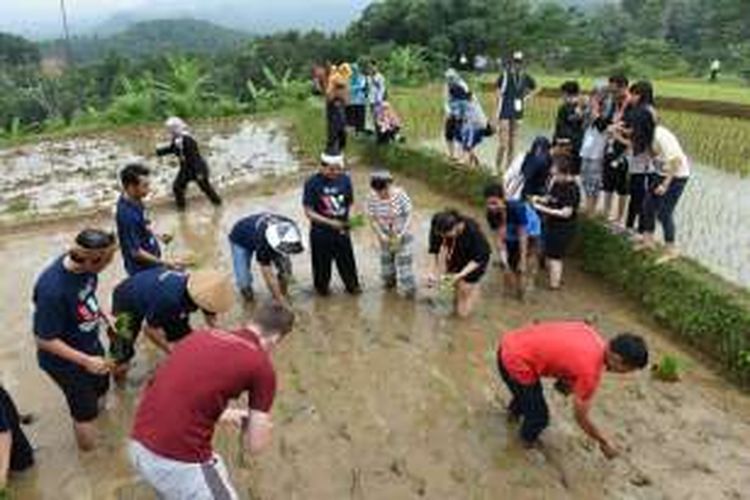 Para investor akan membangun kampung wisata seluas 1.000 hektare di lima lokasi di Purwakarta, Jawa Barat. Kelima kampung itu meliputi Kahuripan-Cirangkong, dua lokasi di Kutamanah, Ciririp, dan Wanayasa.