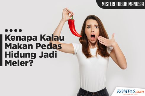 INFOGRAFIK: Misteri Tubuh Manusia, Mengapa Meler kalau Makan Pedas?