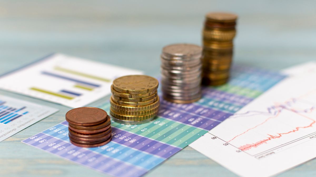 TKD Reduced by 24.8 Percent, Economist Highlights Local Government Funds Idle in Banks