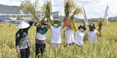 Berkaca dari Capaian Petani di Sumsel, Gus Halim Ajak Petani Nasional Tingkatkan Produktivitas Pertanian