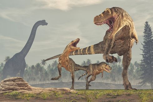 Sudah Punah Jutaan Tahun, Bagaimana Peneliti Hitung Berat Dinosaurus?