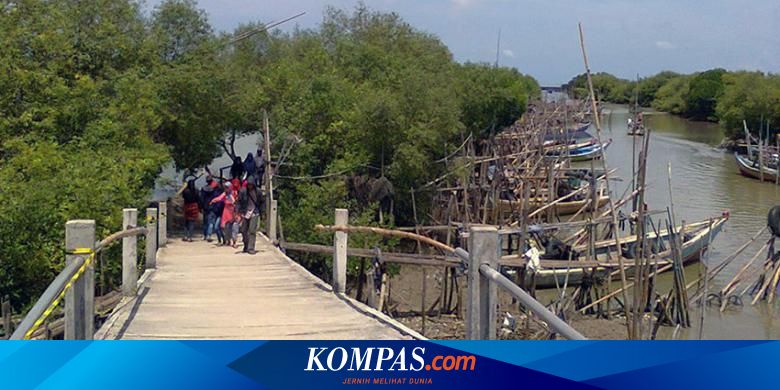 Taman Wisata Bakau Destinasi Wisata Baru Di Gresik