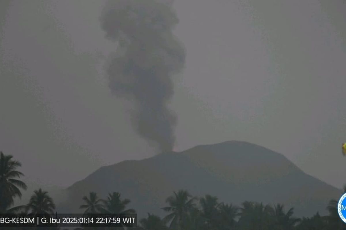 Erupsi, Gunung Ibu Lontarkan Lava Pijar Setinggi 100 Meter