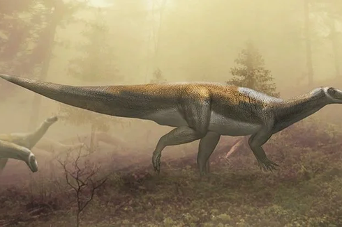 Dikira Pemakan Daging, Dinosaurus Ini Ternyata Herbivora Pemalu