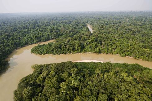 Penelitian: Iklim di Amazon pada 2500 Diramalkan Berubah Jadi Tandus