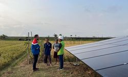 Berdayakan Energi Lokal yang Bersih, Desa Energi Berdikari Pertamina Kini Hadir di 52 Titik Lokasi Se-Indonesia