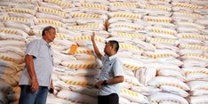 Masuk Musim Tanam Kedua, Kementan Jamin Ketersediaan Pupuk Subsidi