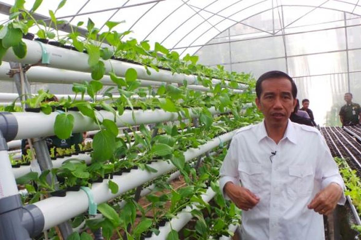 Jokowi di rumah hidroponik Rusun Marunda, Senin (10/3/2014).