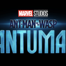 Fakta Menarik Film Ant-Man and the Wasp: Quantumania