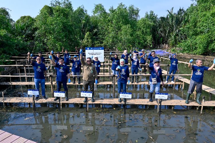 Gandeng BKSDA DKI Jakarta dan YKAN, Tugu Insurance tanam 100 bibit mangrove di Suaka Margasatwa (SM) Muara Angke, Jakarta Utara, Senin (13/3/2023) 

