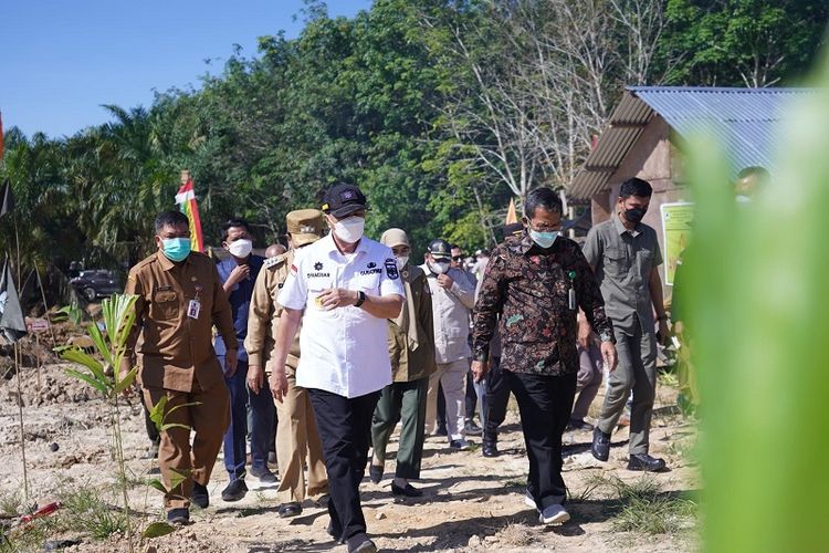 Gubernur Riau (Gubri) Syamsuar lakukan penanaman bibit pohon aren dan penebaran ikan arwana sebagai bentuk dukungan dalam pengembangan program perhutanan sosial yang digagas oleh Gabungan Kelompok Tani Hutan Kemasyarakatan (Gapoktan HKm). 