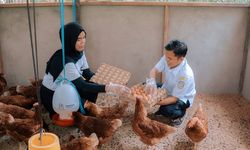 Dari Ibu Hamil hingga Remaja, Program PASTI Bangun Ekosistem Pencegahan Stunting di Kubu Raya