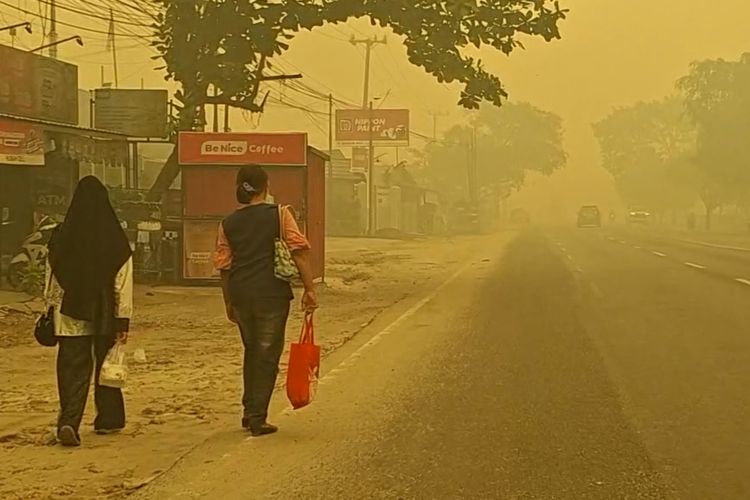 Jarak Pandang 150 Meter, Kabut Asap Karhutla Bikin 4 Penerbangan di Palangka Raya Batal