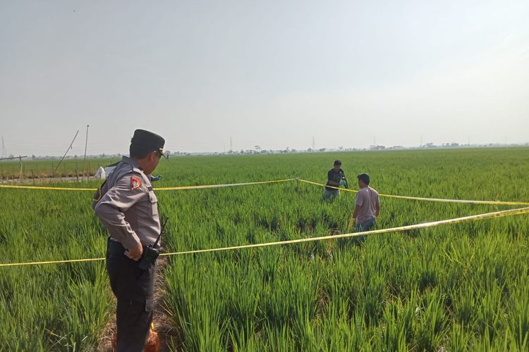 Mau Mengairi Sawah, Warga Pekalongan Malah Temukan Jenazah Perangkat Desa