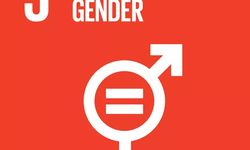 Laporan SDGs 2022: Kesetaraan Gender Jauh Panggang dari Api
