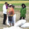 Saat Jokowi Mendadak Turun dari Mobil untuk Temui Petani