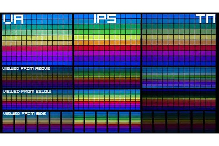 Ilustrasi perbandingan viewing angle panel TN, VA, dan IPS. Karena susunan molekulnya, panel TN memiliki viewing angle yang sempit dan rentan berubah warna saat dilihat dari sudut miring. Kontras dan tampilan warnanya juga lebih rendah. Monitor VA lebih baik dalam hal ini, tapi masih kalah dari tipe panel IPS yang paling konsisten. 