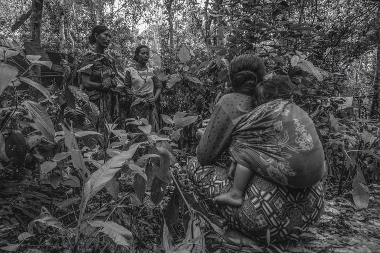 Para induk Orang Rimba saat mencari gadung di hutan TNBD selama menjalani tradisi besesandingon selama ada wabah Covid-19 di Jambi