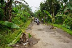 Warga Lumajang Tanam Pohon Pisang di Jalan Berlubang, Bupati Janjikan Perbaikan hingga Masyarakat Diminta Sabar