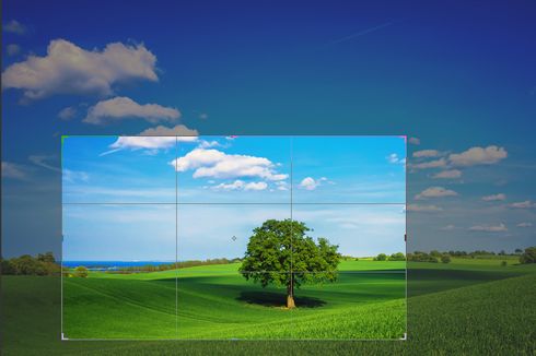 Cara Crop dan Resize Gambar di Microsoft Paint