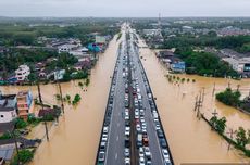 Debat Panas Bupati Tapsel vs Kemenhut Soal Polemik Kayu Gelondongan