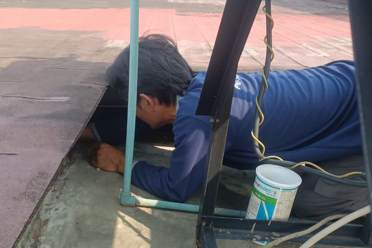 Pest Control Tak Sekadar Basmi Hama, Ini Penyakit Berbahaya yang Ditularkan Tikus