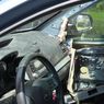 Beruang Masuk Mobil Tak Bisa Keluar, Interior Kendaraan Hancur Tercabik-cabik