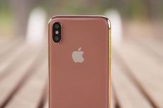 Bocoran iPhone X Versi Murah dan iPhone X Plus