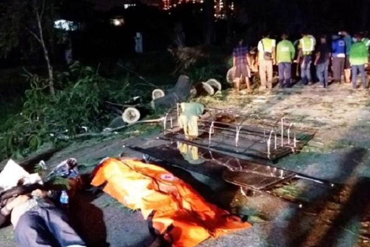 Pohon besar dekat flyover Universitas Indonesia dari arah Depok menuju Jakarta tumbang, Sabtu (4/2/2017). Akibatnya, dua orang dalam kejadian tersebut tewas di lokasi kejadian. 