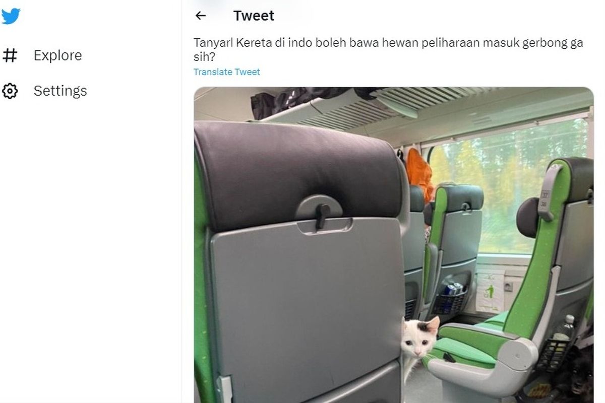 Kucing masuk gerbong kereta.