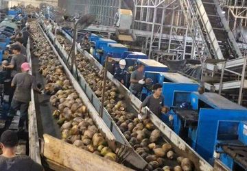 Mendorong Nilai Tambah di Negeri Seribu Kelapa