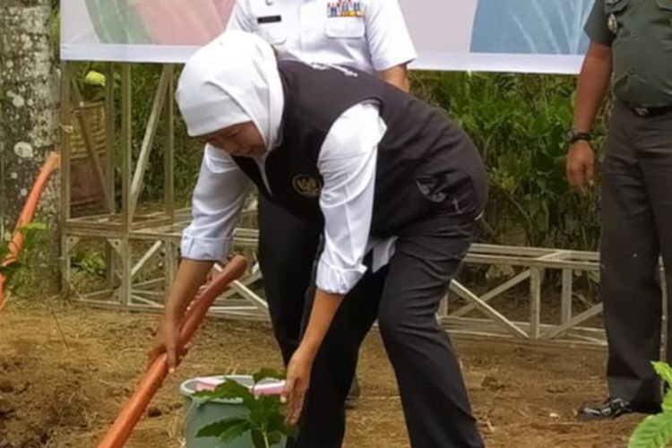 Gubernur Jawa Timur, Khofifah Indar Parawansa menanam bibit kopi di Desa Tulungrejo, Kota Batu, Jawa Timur pada Rabu (14/6/2023).