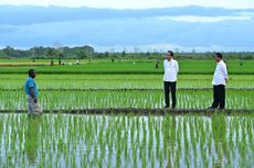 Presiden Kunjungi Pertanian Modern di Distrik Kurik, Mentan Amran Optimistis Merauke Jadi Lumbung Pangan Indonesia Timur