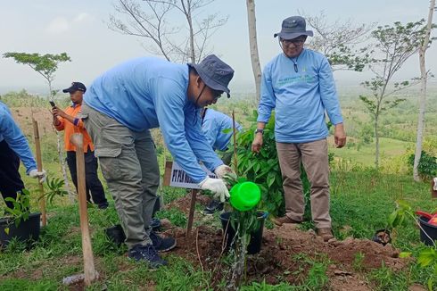 Tanam 1.000 Pohon untuk Pulihkan 20 Hektar Lahan Tandus dan Kritis di Pegunungan Probolinggo