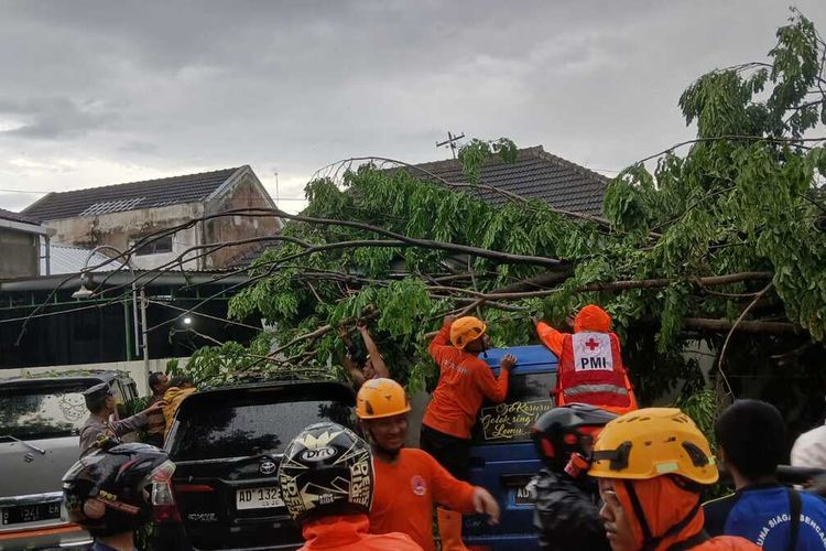 Hujan deras disertai angin kencang yang terjadi Rabu sore di Kabupaten Ponorogo menumbangkan sejumlah pohon di 3 titik. Akibatnya sejumlah warung dan bangunan RSU Aisyiyah tertimpa pohon. Selain menimpa warung, pohon robohjuga menimpa 3 mobilk yang diparkir dipinggir jalan.
