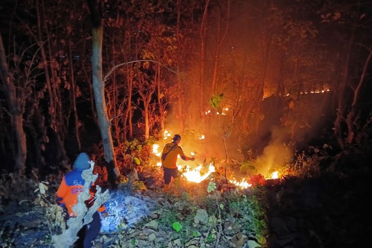 Kabut Asap Karhutla Kepung Malaysia-Brunei, Warga: Kami Tak Bisa Melihat Langit Biru Sebulan