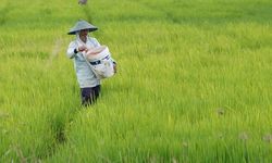 Kepuasan Petani terhadap Kinerja Kementan Capai 84 Persen