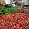 Harga Cabai Merah Melonjak, Mendagri Tito Minta Pemda Gerakkan Warga Menanam Sendiri