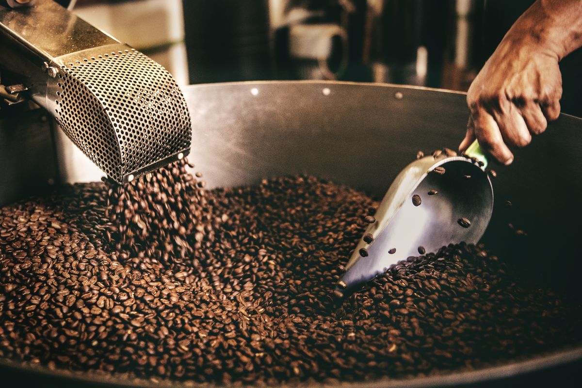 Ada perbedaan karakter dari robusta, arabika, liberika dan ekselsa.