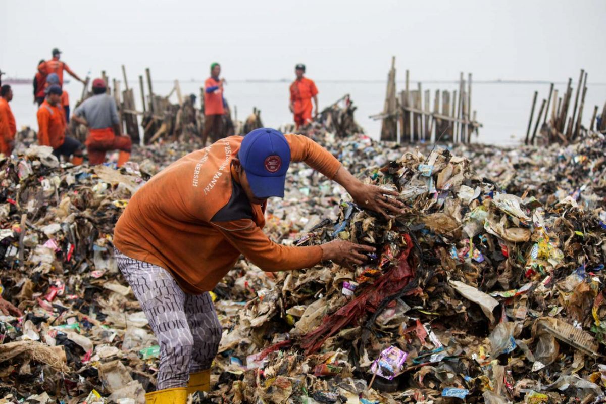 Petugas Suku Dinas Lingkungan Hidup membersihkan sampah plastik yang menumpuk di Kawasan Hutan Bakau Muara Angke, Jakarta, Sabtu (17/3/2018). Sampah yang memenuhi perairan seluas 7.500 meter persegi tersebut terkumpul akibat gulungan ombak yang membawa sampah ke bibir pantai.