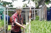 Dari Bengkel Bubut ke Kebun Hidroponik, Awi Raup Belasan Juta dari Lahan 200 Meter