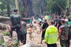 Manajemen Monkey Forest Pastikan Beri Santunan WNA Korban Tertimpa Pohon