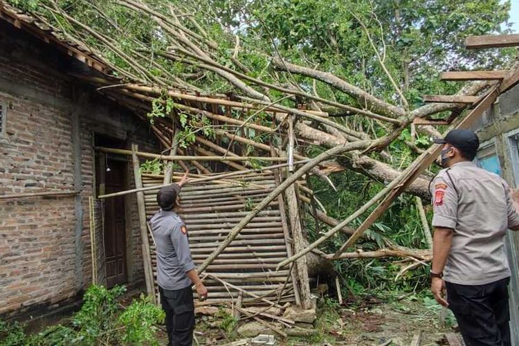 Polisi Sektor Sentolo dan Brimob Polda DIY di Sentolo gotong royong dengan warga evakuasi pohon tumbang akibat hujan deras disertai angin kencang di Sentolo, Kulon Progo, Daerah Istimewa Yogyakarta, Kamis (17/2/2022).