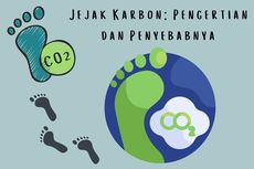 Jejak Karbon: Pengertian dan Penyebabnya