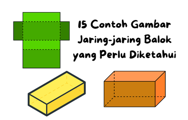 ilustrasi jaring-jaring balok.