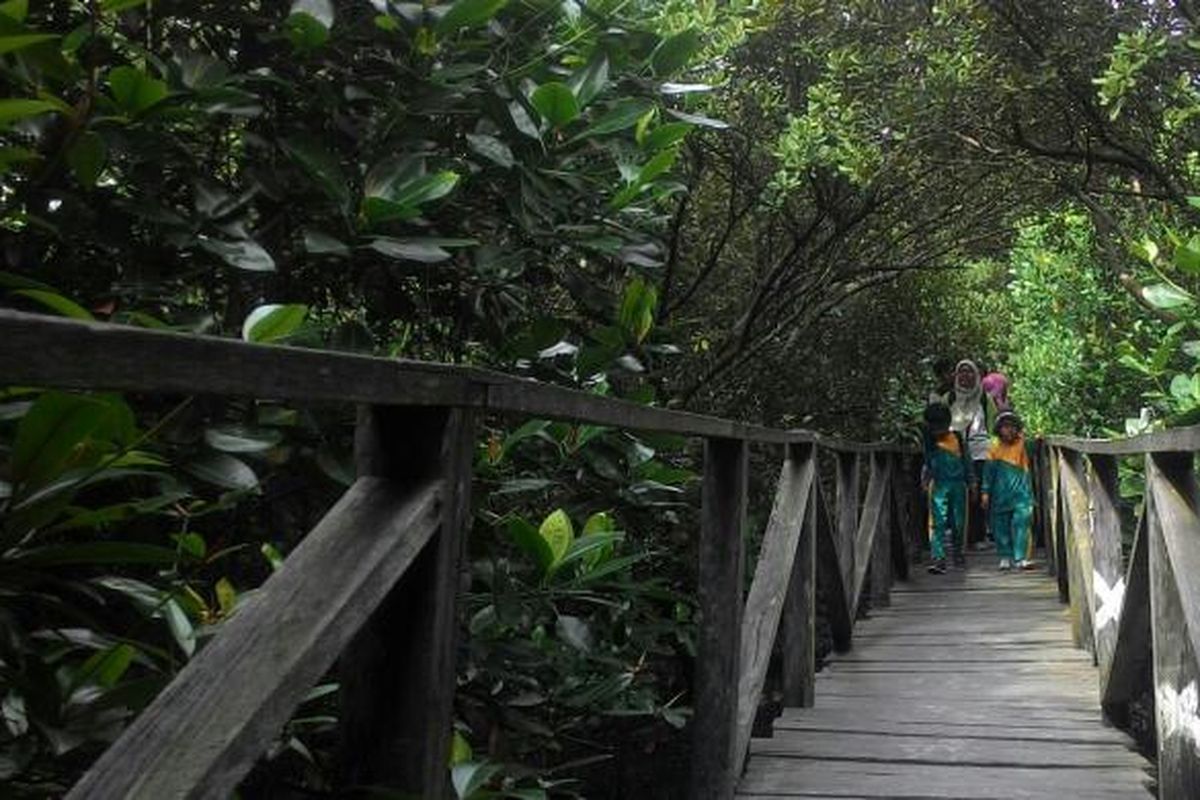 Serbuan Sampah di Konservasi Mangrove Balikpapan