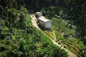 Lindungi Flora dan Fauna Endemik Halmahera, IWIP Resmikan 'Sanctuary Park'