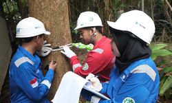Perubahan Iklim Jadi Risiko Bisnis, Dunia Usaha Didorong Lakukan Mitigasi Secara Terukur