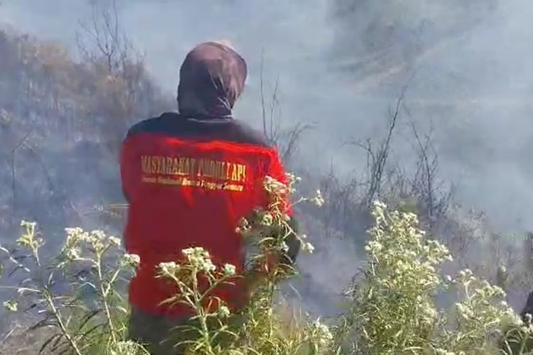 Petugas Balai Besar Taman Nasional Bromo Tengger sedang melakukan pendinginan usai kebakaran di kawasan Gunung Bromo berhasil dipadamkan.